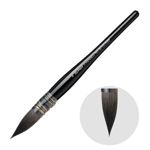 _B`M 498-8 Eh() ʕM @ۖ JUlI CASANEO (202275)