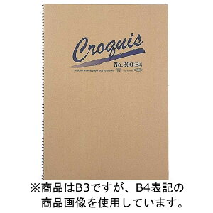 5Zbg NbL[ubN XvO No.300 B3 (270184) zxC HOLBEIN zxC HOLBEIN