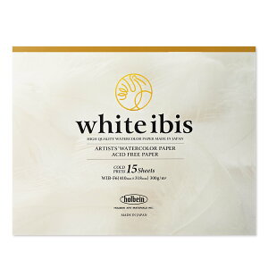 3Zbg zCgACrXʎ ubN 300g  WIB-F6 (271305) zxC HOLBEIN zxC HOLBEIN