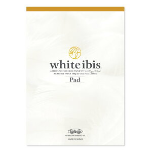 3Zbg zCgACrXʎ A4pbh 300g  WIT-A4 (271321) zxC HOLBEIN zxC HOLBEIN