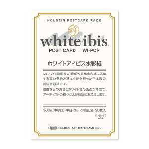 5Zbg zCgACrXʎ |XgJ[hpbN 300g  WI-PCP (271325) zxC HOLBEIN zxC HOLBEIN