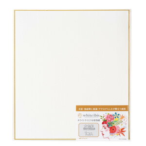 10Zbg zCgACrXʐF F 300g  WSK-01 (271331) zxC HOLBEIN zxC HOLBEIN