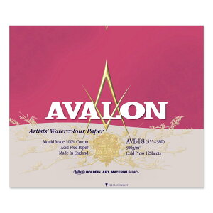 3Zbg A@ʎ ubN 300g  AVB-F8 (271005) zxC HOLBEIN zxC HOLBEIN