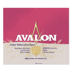 3Zbg A@ʎ ubN 300g  AVB-F10 (271006) zxC HOLBEIN zxC HOLBEIN