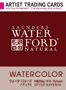 A[eBXgg[fBOJ[h EH[^[tH[hʎ i` 300g  (263215) zxC HOLBEIN zxC HOLBEIN