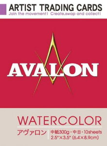 A[eBXgg[fBOJ[h A@ʎ 300g  (263217) zxC HOLBEIN zxC HOLBEIN