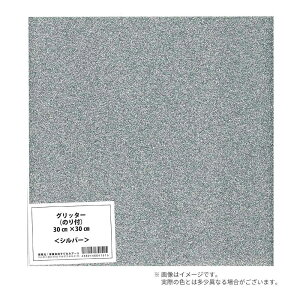 RT[gptBEV[g Ob^[ 30×30cm Vo[ (WJA[g)