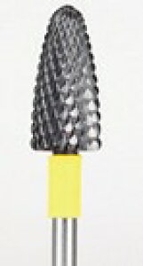 ASt@C WRG{ Ehi~fBAj iԁFCZE2005