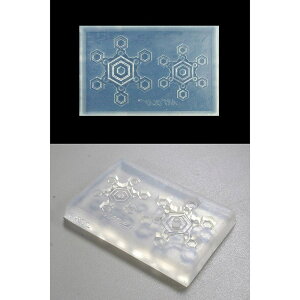 A[gNC F-0972 IWi ̌[h X^_[hB cwH