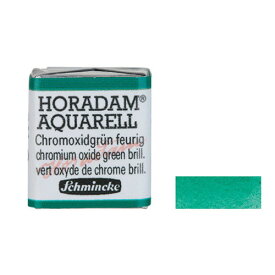 シュミンケ ホラダム ハーフパン 511 クロミウム オキサイド グリーン ブリリアント HP511-S2 固形透明水彩