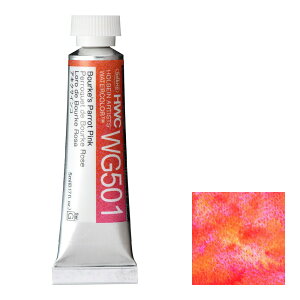 zxC ʊG 2(5ml) WG501 ALNTCR (013501) Oj[eBOJ[YiFj