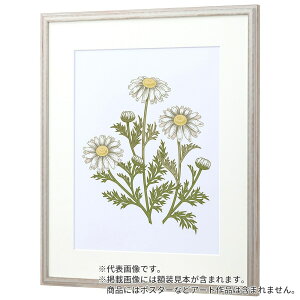 ʊz 鐝 S F8S z(565×490mm) \(AN) [\EW[