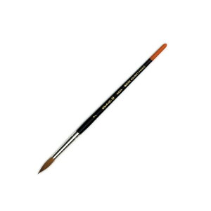 t@GʕM 8404 7 RXL[ ہiׁj