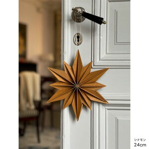 yNX}X SALE 30%OFFzLoviiBjfRX^[ 24cm k I[igfR[V c[ Ȗk  tBhCeA v[g MtgɐlC  Lovi 