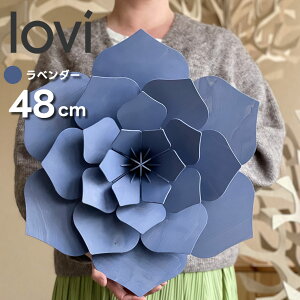 yNX}XSALE 20%OFFzLoviiBjt[ 48cm kԏ fR[V ȖkvCEbh  tBhCeA u v[g MtgɐlC r TVŘb