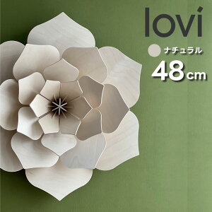 yNX}XSALE 20%OFFzLoviiBji` t[ i` 48cm kԏ fR[V ȖkvCEbh  tBhCeA u v[g Mtg