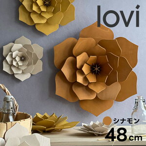 y|CgUP20{!!zLoviiBj48cm t[ Vi kԏ nEB fR[V ȖkvCEbh  tBhCeA u v[g MtgɐlC 