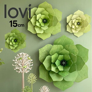 LoviiBj15cm CgO[ fR t[ kԏ nEB fR[V ȖkvCEbh  tBhCeA u v[g MtgɐlC r TV