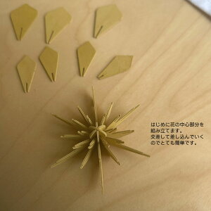 LoviiBj15cm fR t[ kԏ nEB fR[V ȖkvCEbh  tBhCeA u v[g MtgɐlC r TVŘb̖k