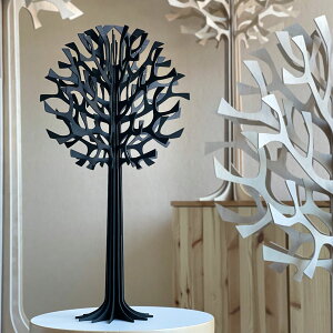 LoviiBjK㗝X Bc[ 55cm ubN lovic[ ۃc[ kG  tBhCeA u v[g ȖkMtgɐlC