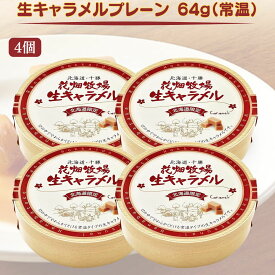 【翌日配送(対象地域のみ)】花畑牧場 生キャラメル 64g 4個 プレーン 送料無料 送料込み 北海道 お菓子 スイーツ 手造り とろける プレゼント 贈り物 お土産 手土産 ギフト バレンタイン ドライ