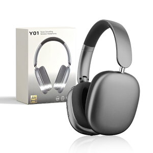 CXwbhz Cz wbhZbg Bluetooth5.4 x wireless yAO }CN mCYLZO NAʘb HiFi I[fBIP[ut Lp USB[