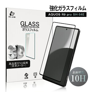 AQUOS R9 pro KXtB AQUOS R9 pro SH-54E docomo X}z AQUOS tیKXV[ ANIX X}zXN[یV[g 3DSʃ^Cv tJo[ ߗ EhGbWH P[X