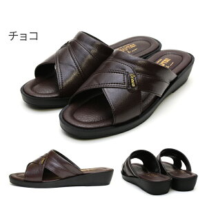 yzy{zMarutai }^C Y T_ wbvT_ ֐ۑ ubN  傫TCY 3L y O ItBX Г   ֗ ItB