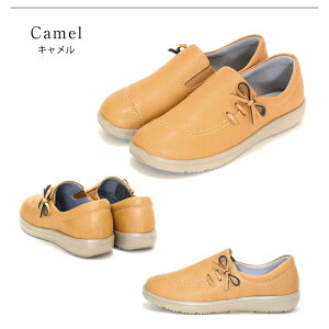 yzpansy pW[ yʃRtH[gV[Y {`[t JWAV[Y Xb| Xj[J[ tbgV[Y fB[X 4E y p y ₷ ms-1366 [moth