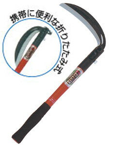 LN ֐n܂肽݊iSObvtj zEl~L HROG-008