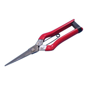 둾Y nyXeXz ЎR 600320