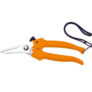 P[u͂ n42mm S188mm(̓^Cv) gXR TCH-019