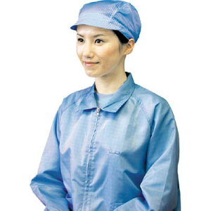 Lbv 싅X^Cv  uXg BSC70002WF