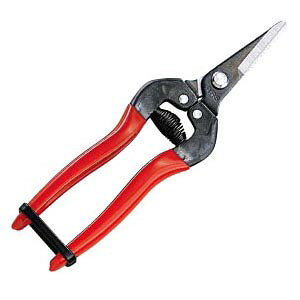 ES(uX^[pbN) AX 300S-BP