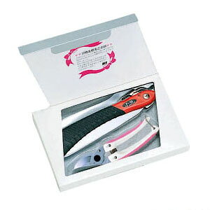 MtgD 2_Zbg(P-18+130DX) AX GD2