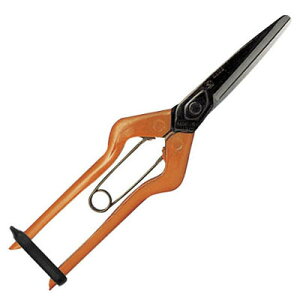  ےn(olt) ܓ ߐ T-700