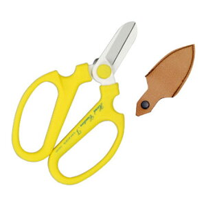 yԁE|znhNG[VFL[g 160mm 󒍐Yi ⌹ 149