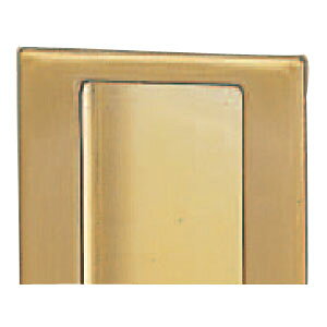 �t���C�f������| 100mm �S�[���h 1���i �����[�J�[���i �V���N�} ST-24