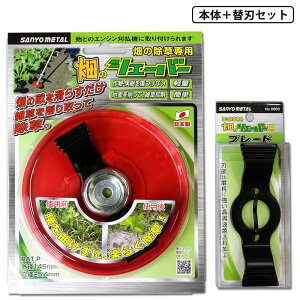 Go ̃VF[o[({) & u[h(֐n) Zbgi Oz 0859-0860