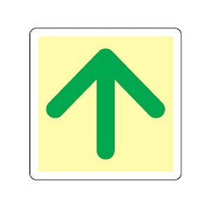 pW(~)~ B {Ώ\ 069002