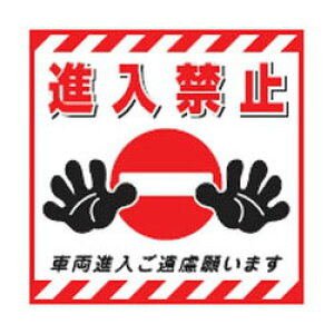 ݂艺W\V[g TS-17 {Ώ\ 100017