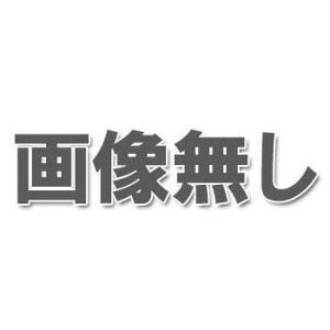 FF�~���[�ԏo��(���O��)FF-15B ���󒍐��Y�E���[�J�[�����i ���{�Ώ\���� 279011