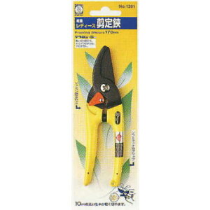 fB[X tbfR[g CG[ 170mm T{e 1201-Y