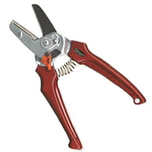 GNZg  tbfR[g JVXbh 195mm T{e EX-5