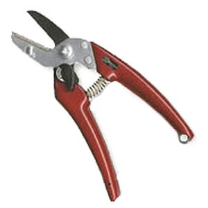 エクセレントレディース剪定鋏 押切 フッ素コート カシスレッド 175mm サボテン EX-8