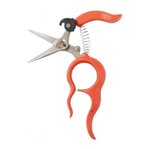 XeX ԂǂE XeX IW 100mm T{e B-2