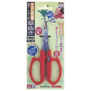  (eRt) XeX bh 17cm T{e 5-B