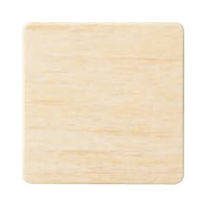 `[NTC n ؖ 110i [J[i VN} NP-21-0