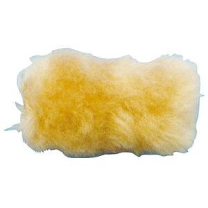 ~jX[[[ \p 4C` gXR TSPR-13-4