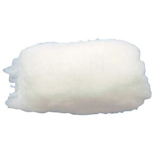 }CNt@Co[~jX[[[ \p 2C` gXR TSPR-13M-2